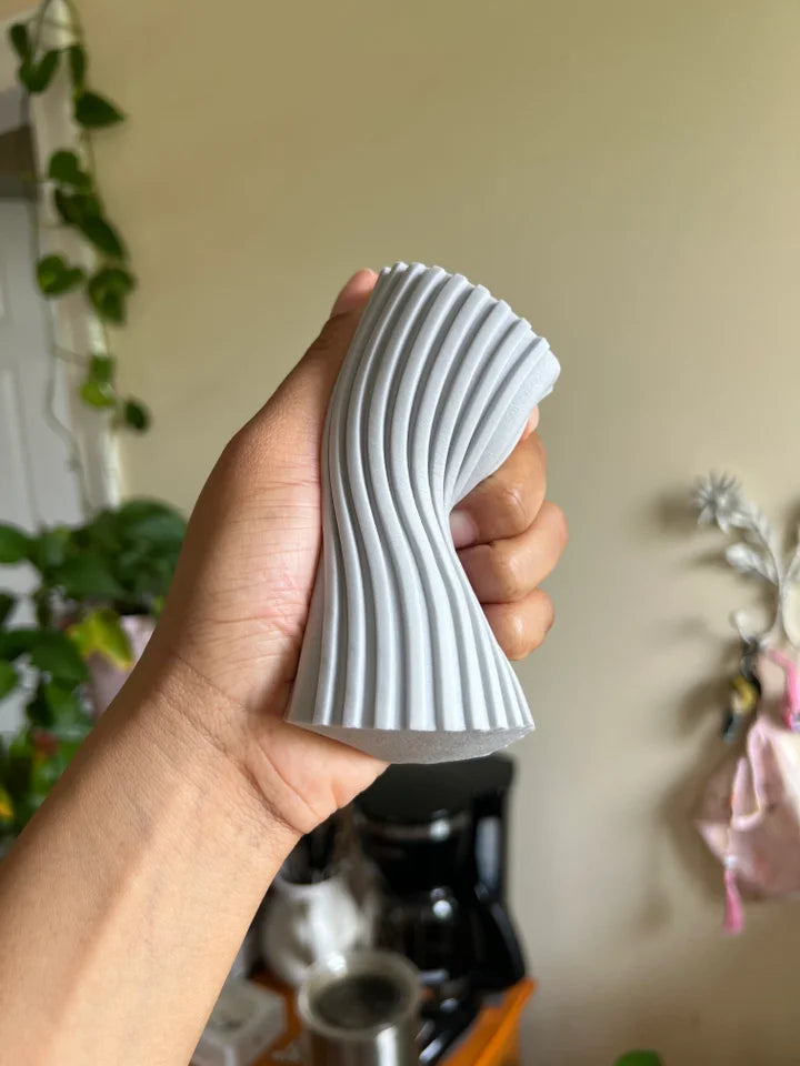 Spugna PVA CatturaPolvere (2 pezzi)